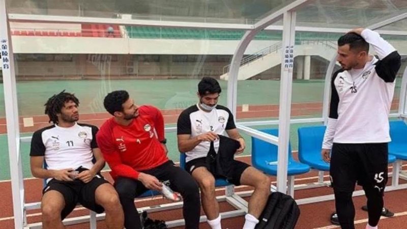 محمد الشناوي