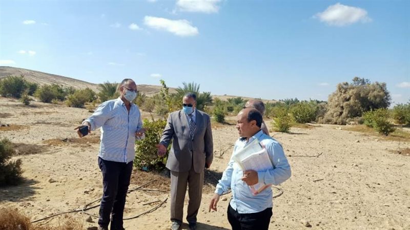 السكرتير المساعد