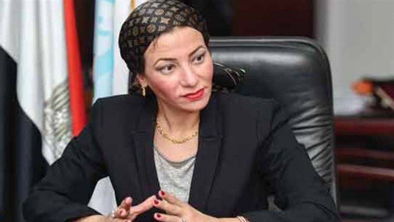 الدكتورة ياسمين فؤاد