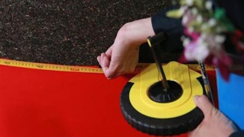 الصين تدخل موسوعة