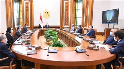 السيسي يوجه بالإسراع في تنفيذ خطط الدولة لتوطين صناعة السيارات التي تعمل بالطاقة الجديدة
