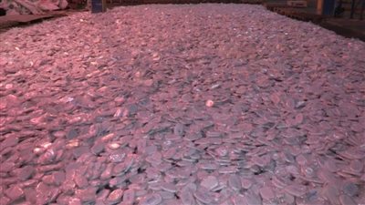 إحباط محاولة تهريب 6 أطنان لمخدر الحشيش تقدر بنصف مليار جنيه