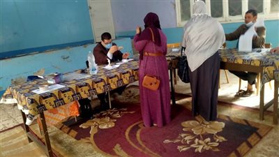 النساء وذوو الاحتياجات يتصدرن المشهد الانتخابي في جولة الإعادة بالوادي الجديد