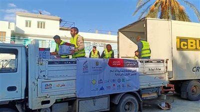 توزيع ٢٠٠٠ كرتونة مواد غذائية بالنوبارية ضمن فعاليات قافلة المساعدات الإنسانية