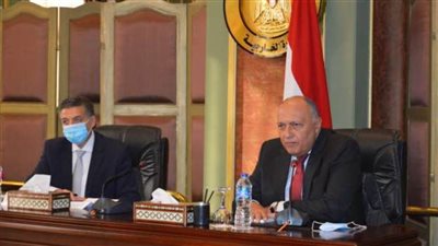 شكري يحث شباب الدبلوماسيين على بذل قصارى جهدهم في سبيل تحقيق رؤية الدولة المصرية وأهدافها