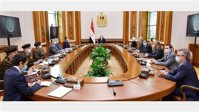 الرئيس السيسي يوجه بالبدء الفوري في إنشاء مراكز تجميع مشتقات البلازما 