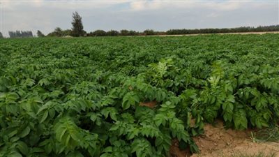 حافظ عليها.. تلاقيها