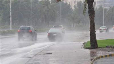 دعاء المطر والرعد من السنة النبوية 