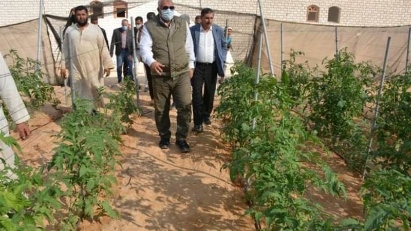 الزملوط يتفقد صوب