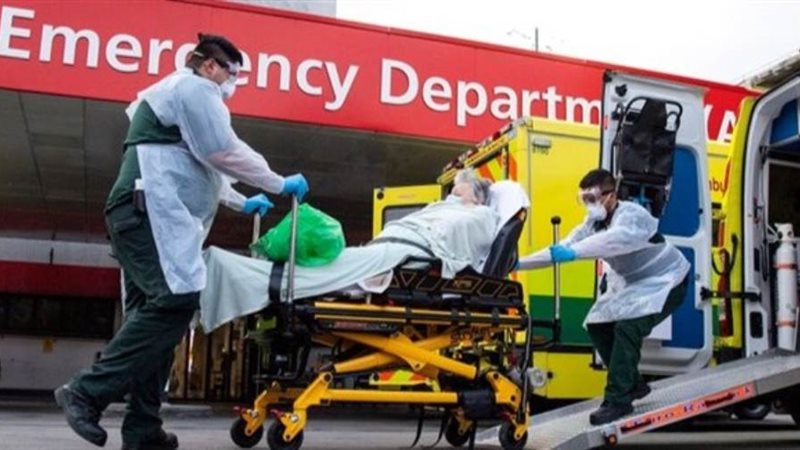 بوابة روز اليوسف