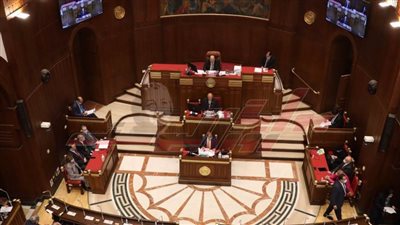  مجلس الشيوخ يوافق على لائحته مبدئيا 
