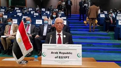  مصر تؤكد رفض ربط الإرهاب بالإسلام ومركزية القضية الفلسطينية