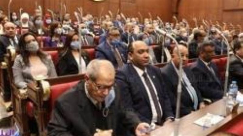 السباعي ونجاتي متحدثان