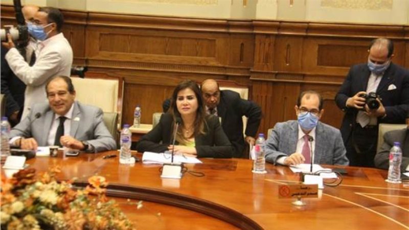 النائبة أمل رمزى