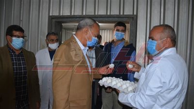 محافظ القليوبية يتفقد مشروع الـ 30 مليون بيضة في الخانكة