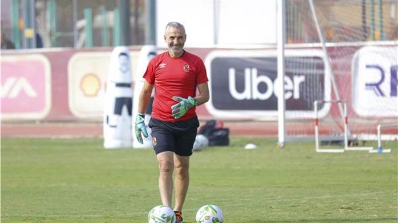 ميشيل يانكون