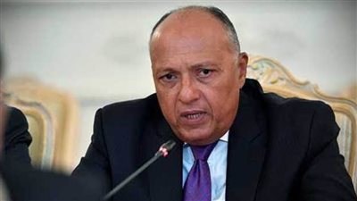 وزير الخارجية يبحث مع نظيره الألماني 