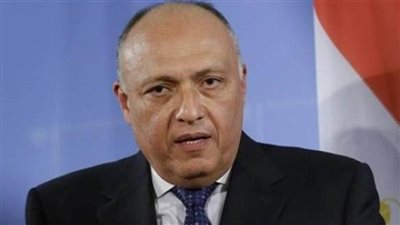 الخارجية: استمرار متابعة حادث قرصنة سفينة الشحن قبالة السواحل النيجيرية