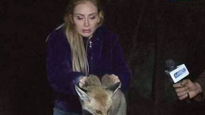 عاجل | بلاغ  للنائب العام ضد ريهام سعيد لتعذيبها 