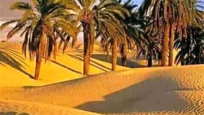 الوادي الجديد في أسبوع