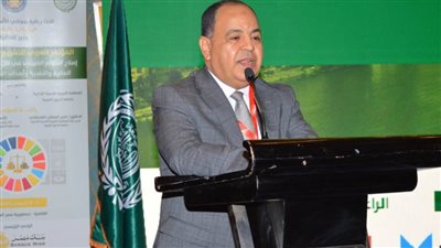 وزير المالية: مصر تمضي بخطى ثابتة على طريق الإصلاح الضريبي