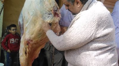 ضبط 871 كيلو لحوم ومصنعاتها فاسدة بالدقهلية