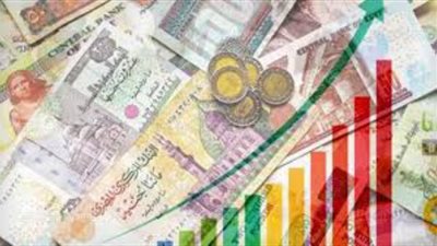 أستاذ اقتصاد سياسي: الاقتصاد المصري من أسرع الاقتصادات الناشئة