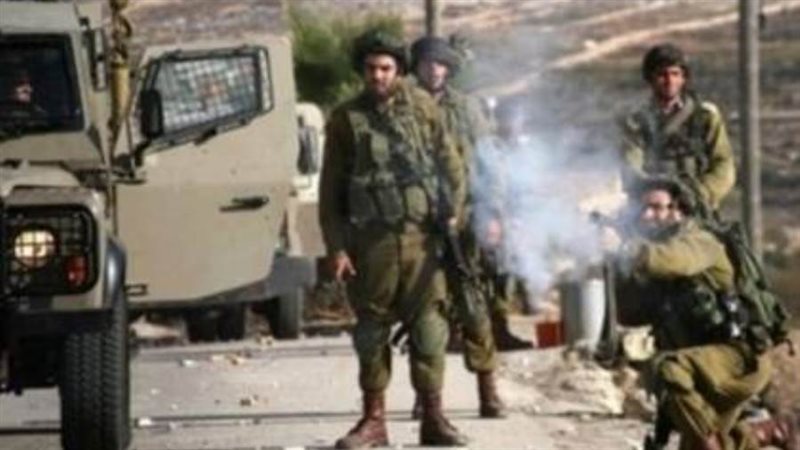 قوات الاحتلال الإسرائيلي