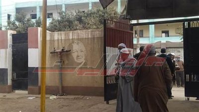 برلمان 2020.. توافد ملحوظ للناخبين بالمنوفية