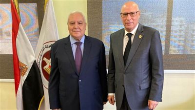 رئيس بعثة جامعة الدول العربية: انتخابات النواب اتسمت بمناخ تنافسي وحيادي