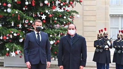 الرئيس السيسي عن مباحثاته مع الرئيس الفرنسي: اتسمت بالشفافية والصراحة