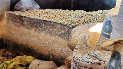 ضبط طن و450 كجم أسماك مجهولة المصدر داخل مدشة أعلاف بالحسينية