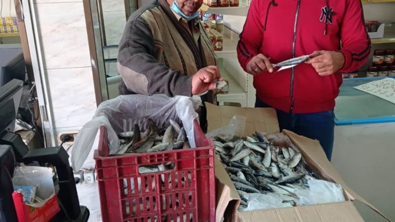 حملات تموينية