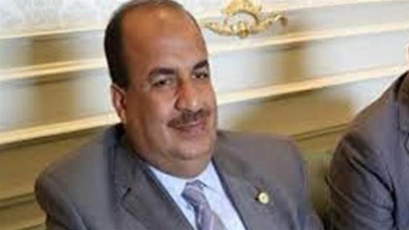 النائب محمد عبد الحميد