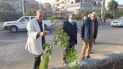 زراعة ١٠٠ شجرة مثمرة بـ