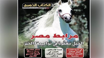 15 وسيلة إعلامية تبرز العدد الجديد من مجلة الكتاب الذهبي 