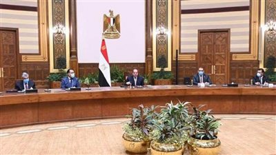 السيسي يؤكد على الجدية والإرادة القوية لدى مصر تجاه التعاون المثمر مع الجانب العراقي  