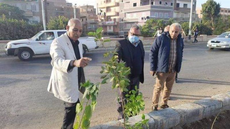 زراعة ١٠٠ شجرة مثمرة