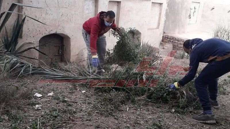 تهذيب الأشجار