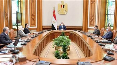 الرئيس السيسي يوجه بإنشاء معامل مركزية بالموانئ المصرية