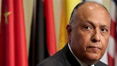 شكري يعرب عن تقديره لدور المجلس المصري للشئون الخارجية