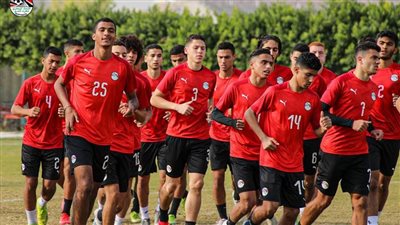 شفيق جراية: وفقًا للوائح الاتحاد الإفريقي من الصعب استكمال منتخب مصر البطولة