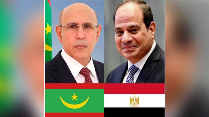 الرئيس السيسي يبحث