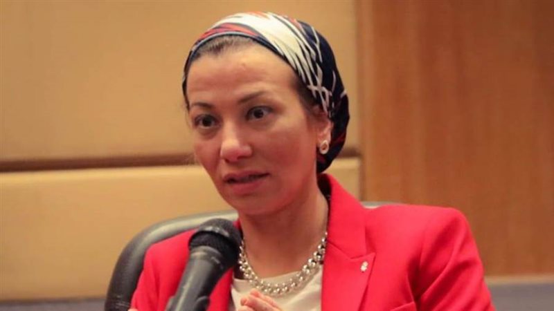 الدكتورة ياسمين فؤاد