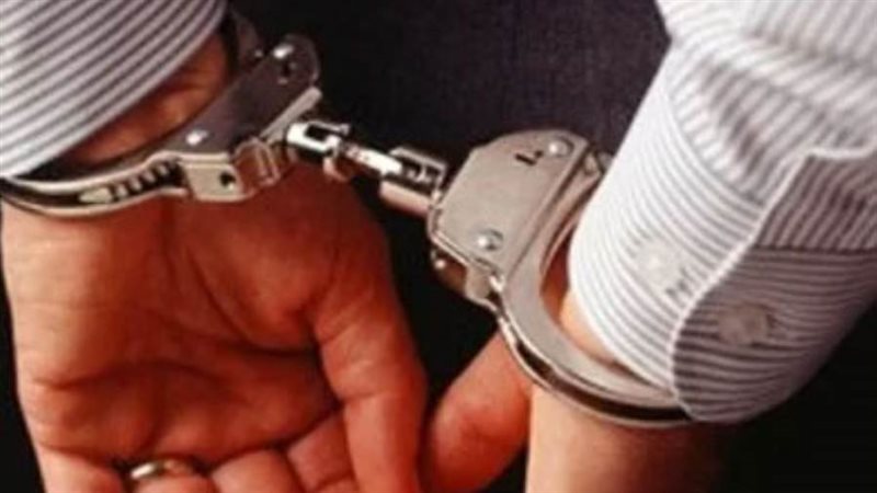 نائب محافظ إسكندرية