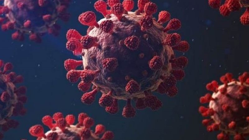 فيروس كورونا
