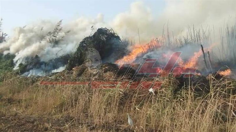 حريق عزبة تكلا