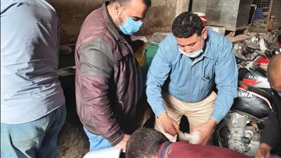 إعدام أكثر من 1.5 أغذية فاسدة وغلق 2 منشأة غذائية مخالفة 