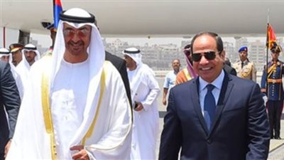 الرئيس السيسي يرحب بانضمام الإمارات لمنتدى غاز شرق المتوسط كمراقب