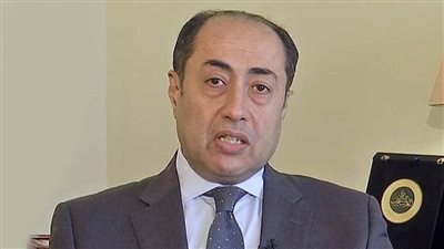  حسام زكي: نأمل أن يتفق السياسيون اللبنانيون على مخرج للأزمات الحالية